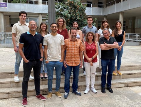 La qualitat de carbohidrats de la dieta té un paper clau en la prevenció de la demència