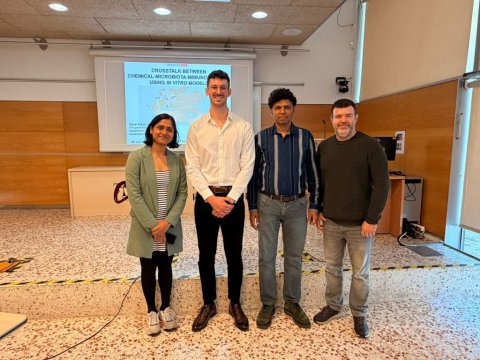 Tres disruptors endocrins, tres respostes diferents del sistema immunitari
